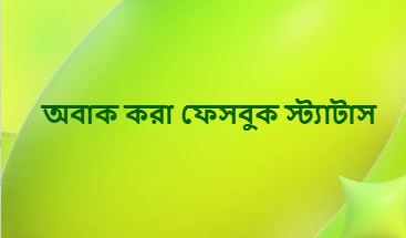 অবাক করা ফেসবুক স্ট্যাটাস, সেরা আকর্ষণীয় ভাইরাল ক্যাপশন