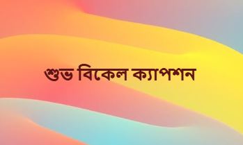 শুভ বিকেল ক্যাপশন ভালোবাসায় ভরা মিষ্টি অনুভূতি