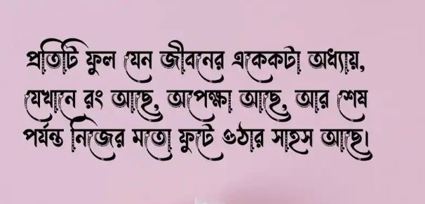গোলাপ ফুল নিয়ে ক্যাপশন,