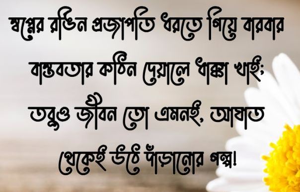 অবাক করা ফেসবুক স্ট্যাটাস