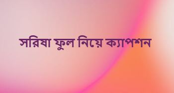 সরিষা ফুল নিয়ে ক্যাপশন, কবিতা, ছন্দ ২০২৬