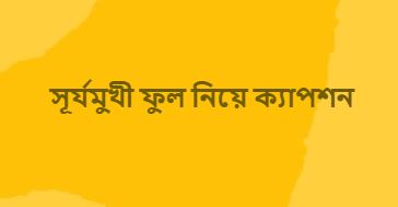 সূর্যমুখী ফুল নিয়ে ক্যাপশন, কবিতা, ছবি