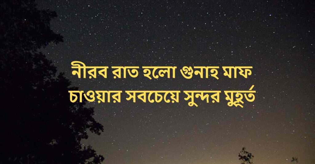 নিশীথ রাত হৃদয়ের ভেতর লুকানো স্বপ্নগুলো জাগিয়ে তোলে (1)