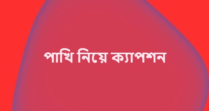 পাখি নিয়ে ক্যাপশন