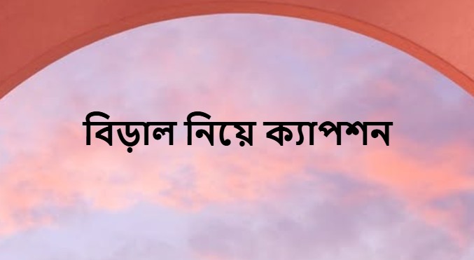 বিড়াল নিয়ে ক্যাপশন
