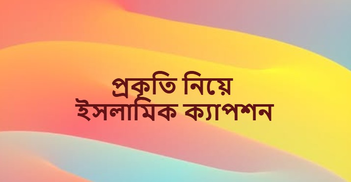 প্রকৃতি নিয়ে ইসলামিক ক্যাপশন